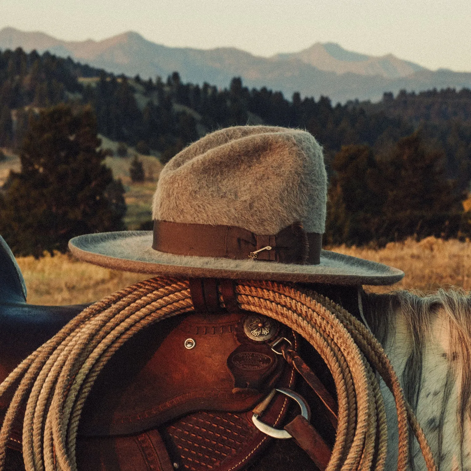 Boss Raw Edge 10X Cowboy Hat -STETSON