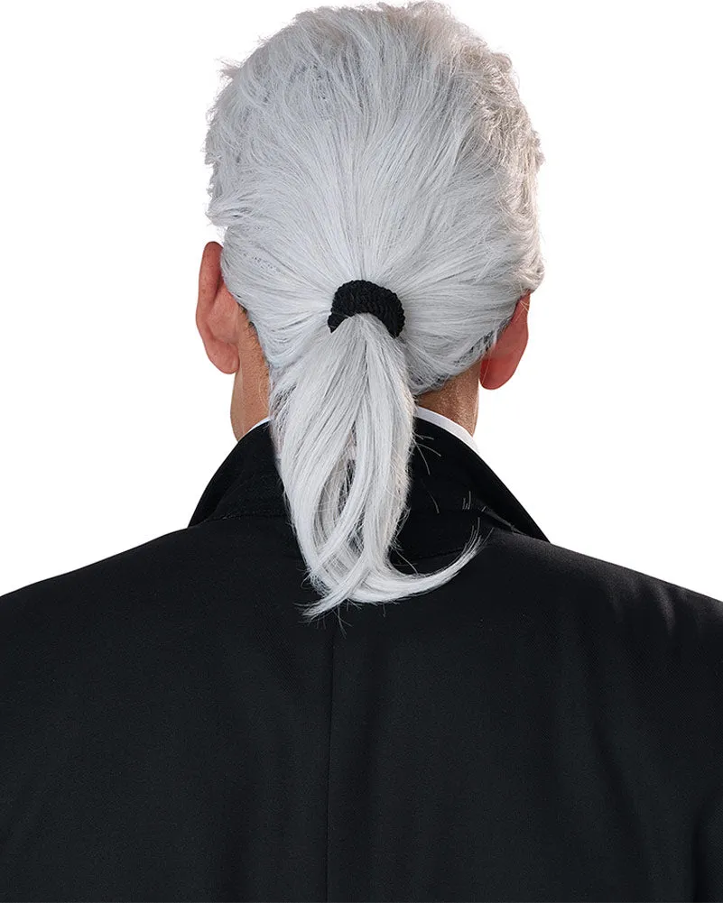 Fashion Legend Grey Ponytail Wig