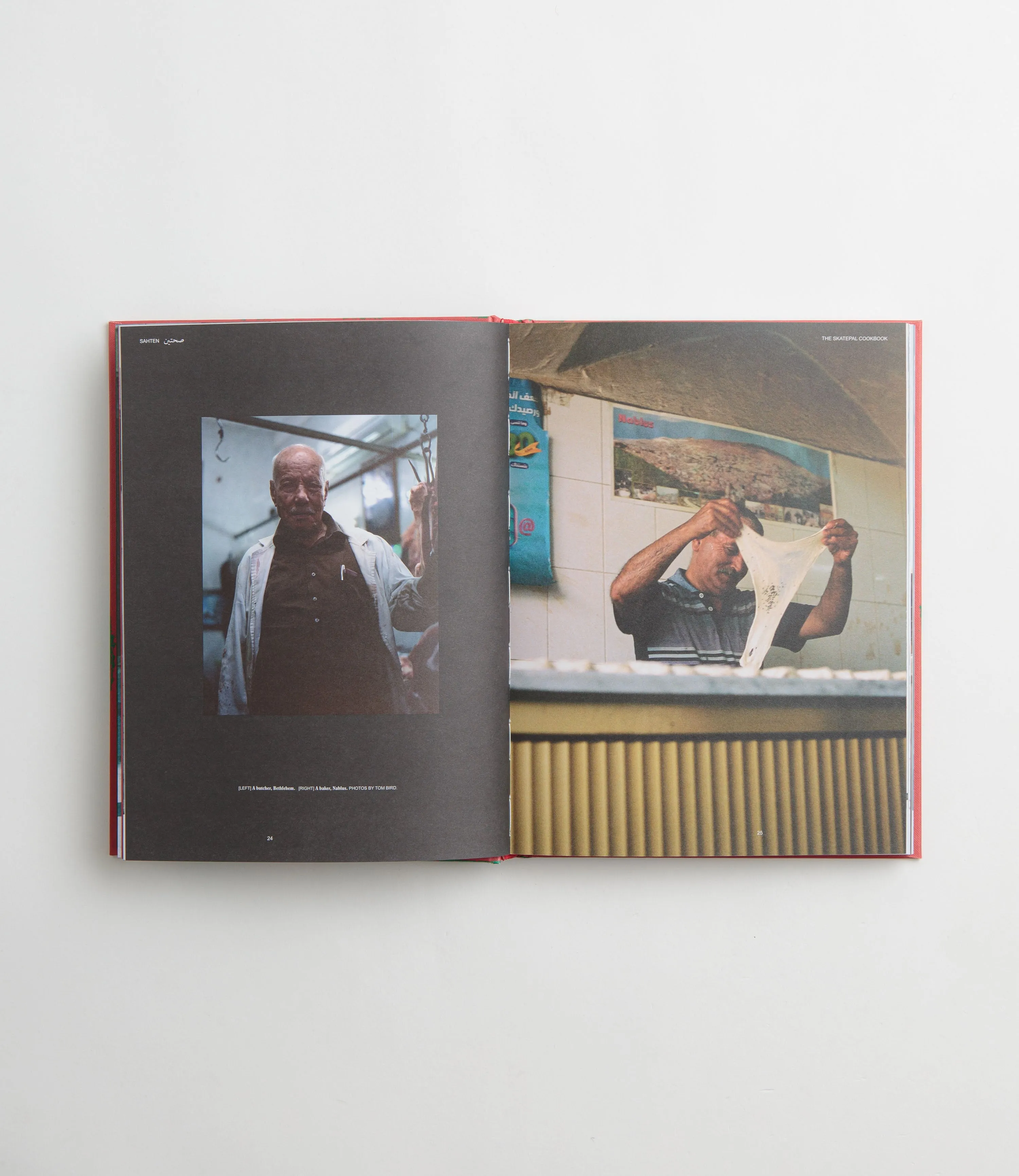 Sahten: The SkatePal Cookbook - SkatePal