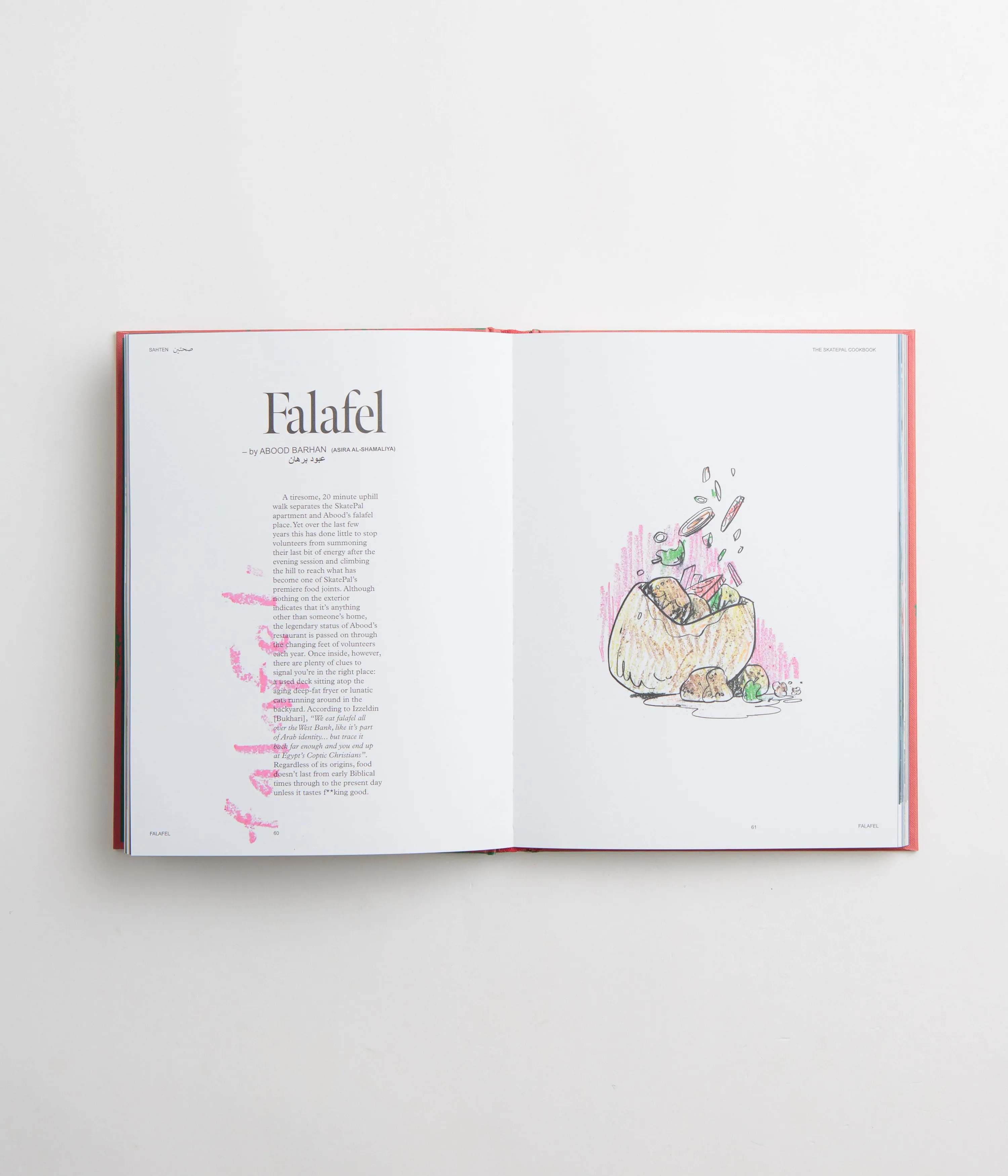 Sahten: The SkatePal Cookbook - SkatePal